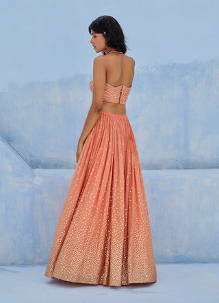 Coral melisa lehenga set
