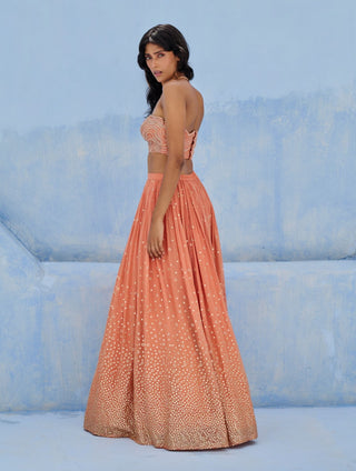 Coral melisa lehenga set