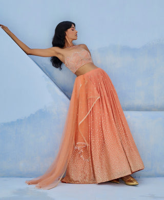Coral melisa lehenga set