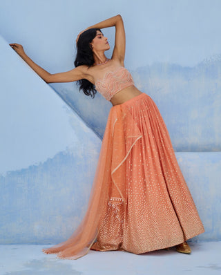 Coral melisa lehenga set