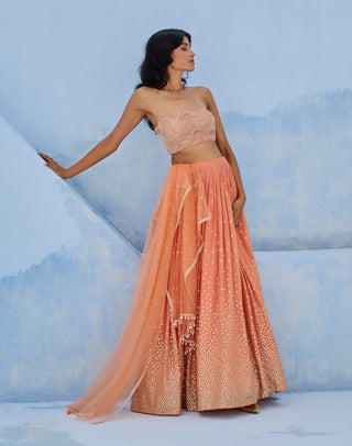 Coral melisa lehenga set