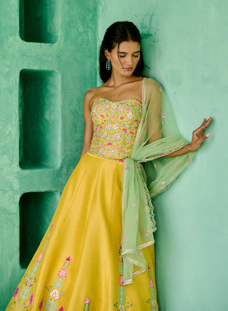 Yellow and green falak lehenga set