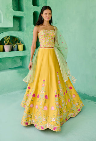 Yellow and green falak lehenga set