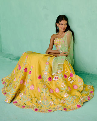 Yellow and green falak lehenga set