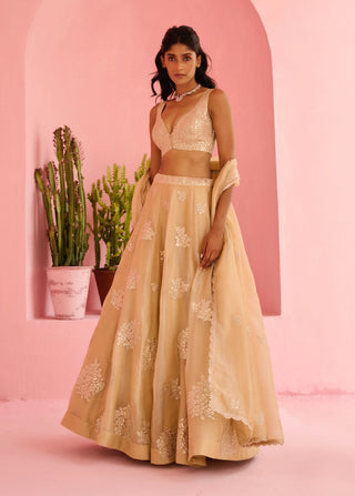 Beige adah lehenga set