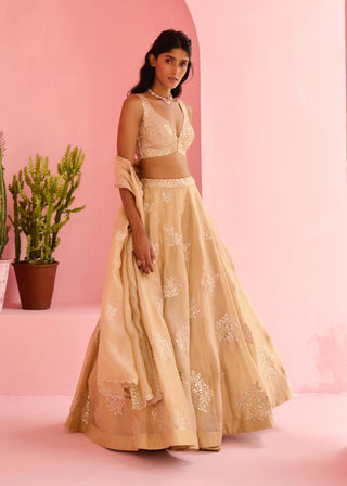 Beige adah lehenga set