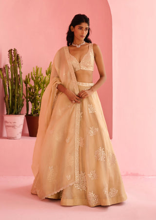 Beige adah lehenga set