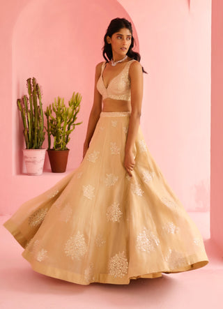 Beige adah lehenga set