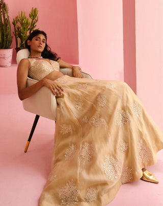 Beige adah lehenga set