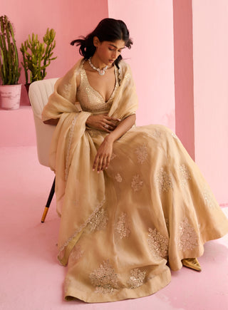 Beige adah lehenga set