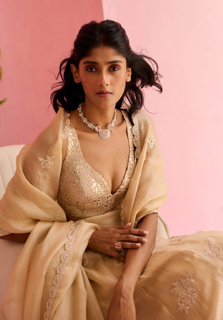 Beige adah lehenga set