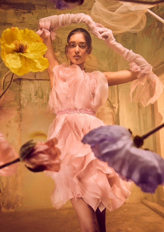 Rosette Pink Ruffle Dress With Belt by Shriya Som available on Indiaspopup.com