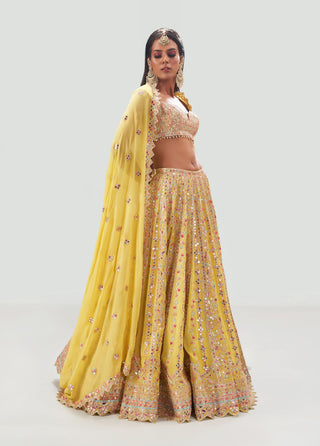 Tamanna Punjabi Kapoor-Lime Geometric Embellished Lehenga Set-INDIASPOPUP.COM
