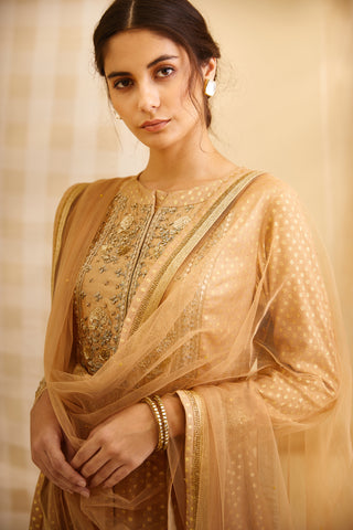 Shyam Narayan Prasad-Gold Embroidered Anarkali Set-INDIASPOPUP.COM