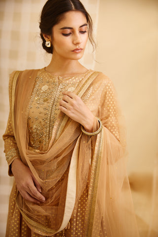 Shyam Narayan Prasad-Gold Embroidered Anarkali Set-INDIASPOPUP.COM