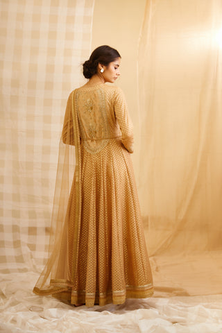 Shyam Narayan Prasad-Gold Embroidered Anarkali Set-INDIASPOPUP.COM
