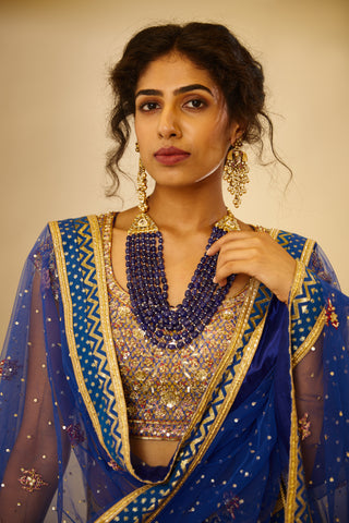 Shyam Narayan Prasad-Royal Blue Embroidered Lehenga Set-INDIASPOPUP.COM