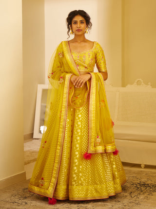 Shyam Narayan Prasad-Mustard Yellow Lehenga Set-INDIASPOPUP.COM