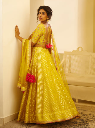 Shyam Narayan Prasad-Mustard Yellow Lehenga Set-INDIASPOPUP.COM