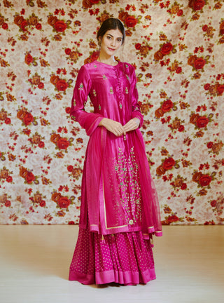 Shyam Narayan Prasad-Pink Embroidered Kurta With Skirt-INDIASPOPUP.COM