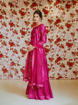 Shyam Narayan Prasad-Pink Embroidered Kurta With Skirt-INDIASPOPUP.COM