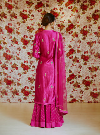 Shyam Narayan Prasad-Pink Embroidered Kurta With Skirt-INDIASPOPUP.COM