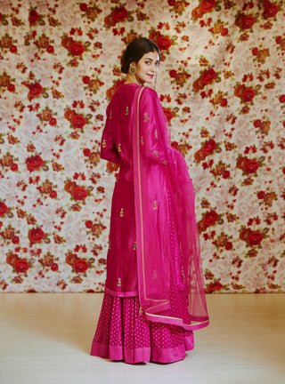 Shyam Narayan Prasad-Pink Embroidered Kurta With Skirt-INDIASPOPUP.COM