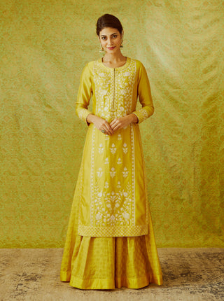 Shyam Narayan Prasad-Mustard Yellow Kurta Skirt Set-INDIASPOPUP.COM