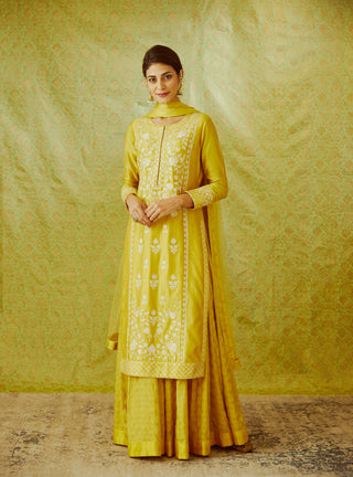 Shyam Narayan Prasad-Mustard Yellow Kurta Skirt Set-INDIASPOPUP.COM