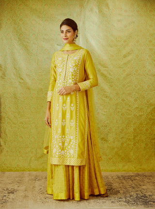 Shyam Narayan Prasad-Mustard Yellow Kurta Skirt Set-INDIASPOPUP.COM