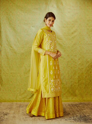 Shyam Narayan Prasad-Mustard Yellow Kurta Skirt Set-INDIASPOPUP.COM