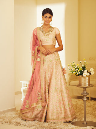 Shyam Narayan Prasad-Light Pink Embroidered Lehenga Set-INDIASPOPUP.COM