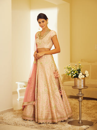 Shyam Narayan Prasad-Light Pink Embroidered Lehenga Set-INDIASPOPUP.COM