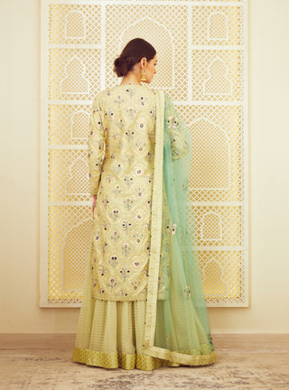Shyam Narayan Prasad-Lemon Green Kurti And Skirt Set-INDIASPOPUP.COM