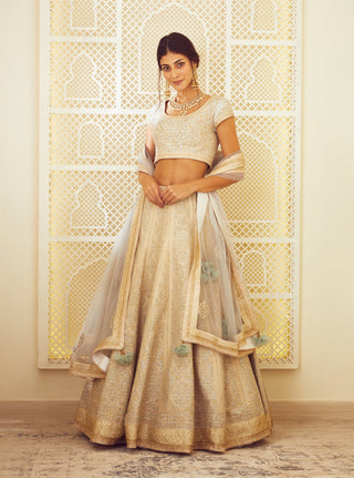Shyam Narayan Prasad-Ice Blue Metallic Lehenga Set-INDIASPOPUP.COM