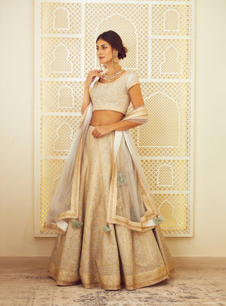 Shyam Narayan Prasad-Ice Blue Metallic Lehenga Set-INDIASPOPUP.COM