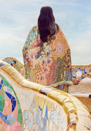 Aisha Rao-Multicolor Embroidered Sari With Blouse-INDIASPOPUP.COM