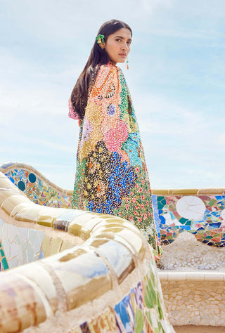 Aisha Rao-Multicolor Embroidered Sari With Blouse-INDIASPOPUP.COM