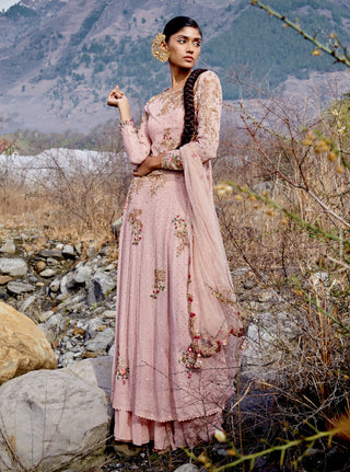 Dolly J-Pink Chiffon Kamdani Kurta Set-INDIASPOPUP.COM