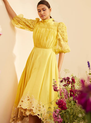 Chandrima-Yellow Ruched Dress-INDIASPOPUP.COM