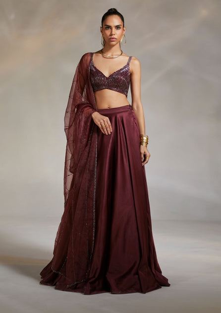 Hertha evergreen embellished sari with corset