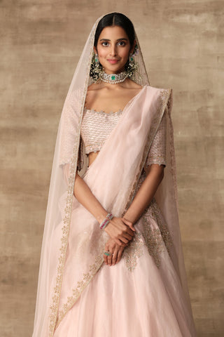 Ridhi Mehra-Blush Pink Blouse With Lehenga & Dupatta-INDIASPOPUP.COM