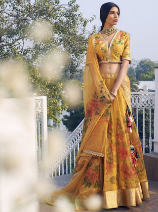 Rar Studio-Mustard & Multi Color Lehenga Set-INDIASPOPUP.COM