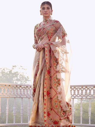 Rar Studio-Beige & Multicolor Saree Set-INDIASPOPUP.COM
