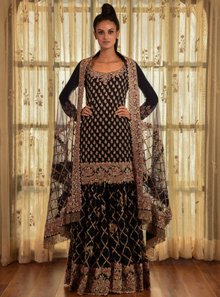Tyrion Blue Kurta And Sharara Set