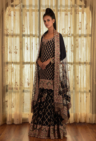 Dolly J-Blue Tyrion Chiffon Kurta And Sharara Set-INDIASPOPUP.COM