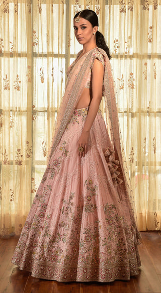 Dolly J-Pale Pink  Aviana Chiffon Chikankari Lehenga Set-INDIASPOPUP.COM