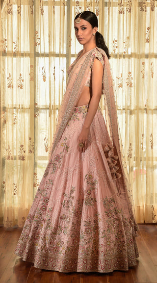 Dolly J-Pale Pink  Aviana Chiffon Chikankari Lehenga Set-INDIASPOPUP.COM