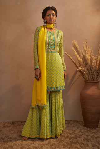 Aneesh Agarwaal-Yellow Green Butti Print Kurta Set-INDIASPOPUP.COM