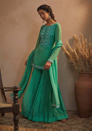 Aneesh Agarwaal-Emerald Green Printed Kurta Set-INDIASPOPUP.COM